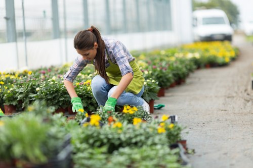 Front view of a maintained garden with tools
