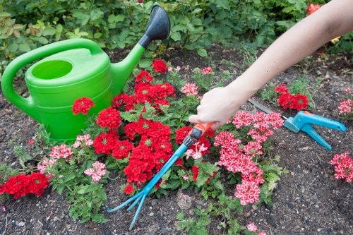 A garden scene featuring a flower bed with densely planted vibrant red and pink flowering plants, bordered by dark, moist soil. On the right side, a person's arm is visible holding a hand rake, actively tending to the soil and flowers. To the left, a green plastic watering can with a long spout rests on the ground, nearby a pair of blue-handled pruning shears partially embedded in the soil. The background includes lush green foliage and leafy plants, suggesting a well-maintained residential garden, possibly in Chiswick. The scene is set during daylight, indicating an outdoor gardening activity aimed at maintaining plant health and garden appearance, consistent with professional gardening services offered by Garden Maintenance Chiswick.